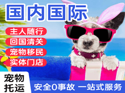 静巴国际宠物托运 【国